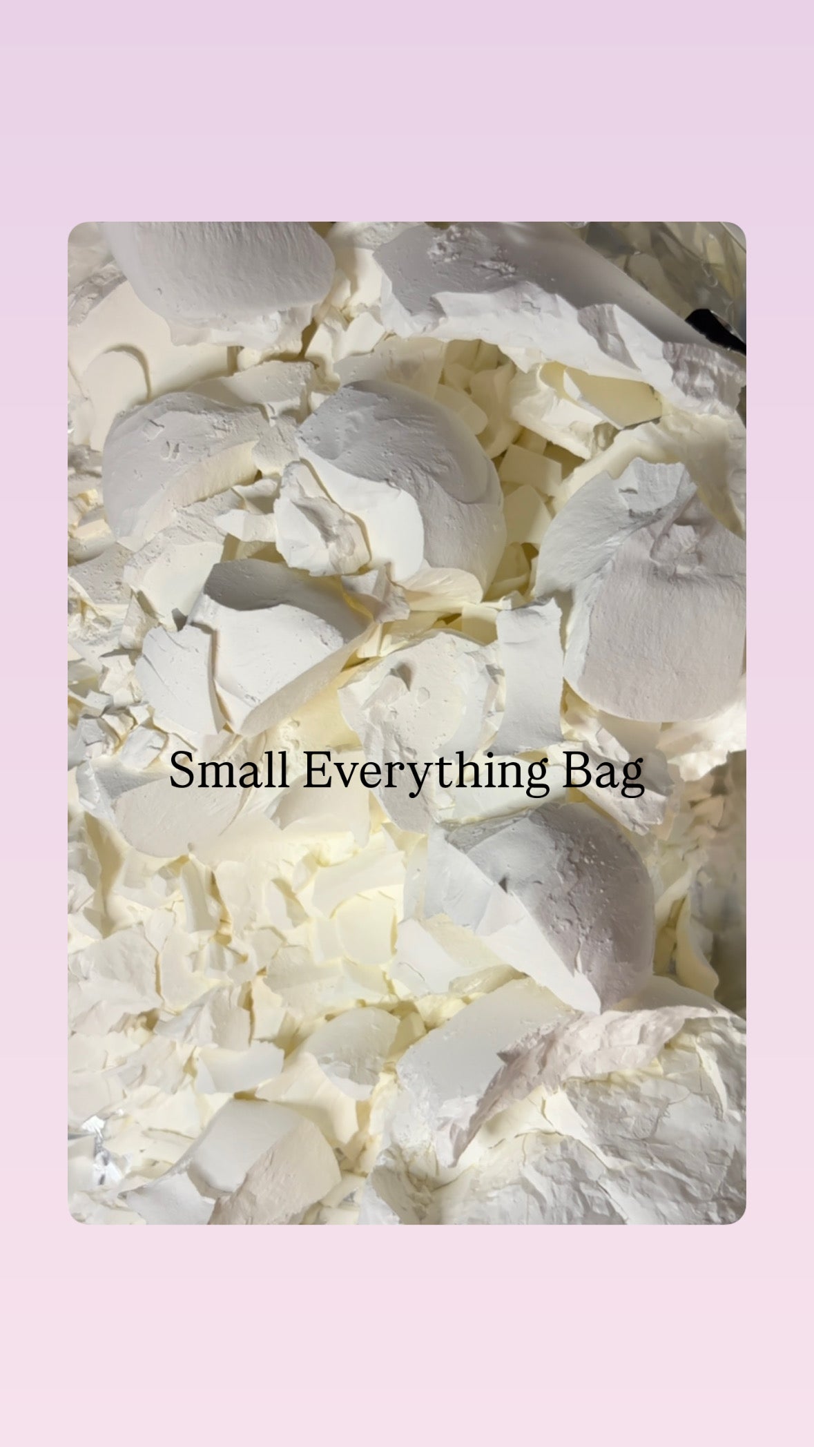 Argo Small Everything Bag